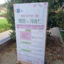 미리캔버스 | 상하농원 글램핑, 아이와 함께한 파머스빌리지 1박 2일 완벽 후기