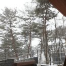 수풀산장 이미지