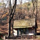 상상나무작은도서관 이미지