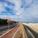 7번국도 동해대로(현남면) 이미지