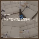 크린팡팡 | 서울 아쿠아텍스 소파 홈케어 ㅣ 우먼올크린 봄맞이 습식 케어 후기 여성 기사님이라 안전!