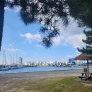 포항회타운 | [포항 물회 현지인 맛집] 죽천회타운 솔직후기 N번째 재방문