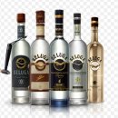 벨루가(Beluga) 이미지