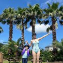 더포그레이스호텔앤리조트 | 서귀포 가성비 수영장 숙소 추천 , 더포그레이스 호텔앤리조트 (내돈내산,조식,주차)