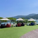 마소마레 이미지