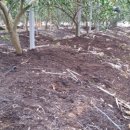 서당 농장 이미지