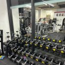 노익스짐 이미지