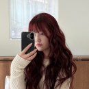 레드헤어쿨 - 영등포구 | 레드헤어쿨