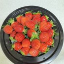 고리울초 이미지