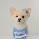 미미미용실 이미지