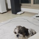 가든파크 이미지