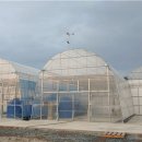 연동2농장 이미지