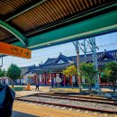 장릉 낮도깨비놀이 상설공연 | 강원도 영월 가볼만한곳 단종문화제 축제 후기, 왕사남 팝업까지 보고 온 토요일