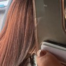 영스헤어 네이버블로그
