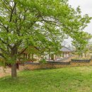 의성(청주) 이미지