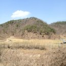 유가솜씨 이미지