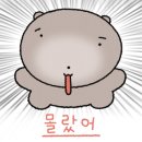 홍그루밍 이미지