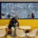 우다다(WOODADA) 이미지