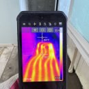 보식골로 이미지