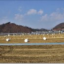 단월면사무소 이미지