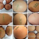 새날농장 이미지