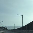 동해막국수 | 인천공항 근처 을왕리 맛집 동해막국수 솔직 후기 명태식해 맛도리