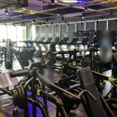 썬트레이너 이미지