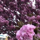 운신초등학교 이미지