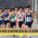 예천군, 제11회 도효자배 전국 중·고 단축마라톤대회 성료 이미지