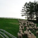 인원목장 이미지