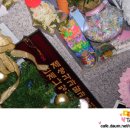 용미4리 Daum카페