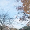 은혜사 앞 이미지