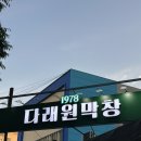 다래원 | 노포 분위기 대구 서구 막창 맛집, 다래원막창 솔직후기