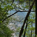 남면경로식당 | 왕과사는남자’ 영월여행코스 가족여행 방문지 ( 청령포,장릉,장릉근처맛집)솔직후기 / 반값으로 여행가기