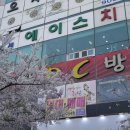 연세에이스치과의원 네이버블로그