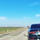 타이어대통령 이미지