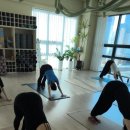 건강요가1 (강좌번호:13) | 아산요가 / 아산다이어트 / 쌍용동요가: 요가 오브 아산탕정점
