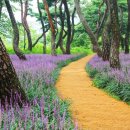 경주시립도서관 화장실 이미지