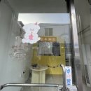 벌스데이레오 이미지