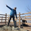 신화랑풍류숲길 이미지