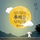 지티씨9