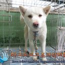 봉성리마을회관 이미지