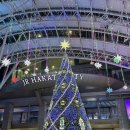 조형물F | 2025 후쿠오카 시내 크리스마스 마켓 5곳 직접 방문 비교 후기 총정리