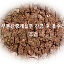 큰샘부동산중개 네이버블로그
