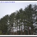 금강송공인중개사사무소 이미지