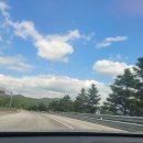 캠프 인더숲 이미지