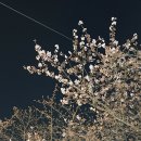 백양분식 이미지