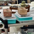 신토불이횟집 이미지