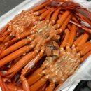 도안대로(유성-89) 이미지