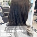 한일 미용실 | 부천 역곡미용실 리안헤어 역곡점 탈색없이 애쉬브라운 염색 솔직후기